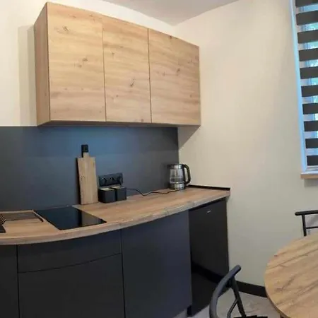 Loft Zdroj Apartment *