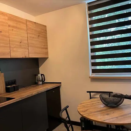 Apartment Loft Zdroj Bad Altheide