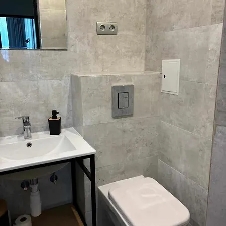 Apartment Loft Zdroj Bad Altheide