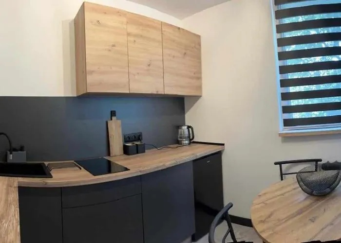 Loft Zdroj Apartment *