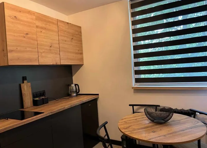 Apartment Loft Zdroj Polanica-Zdroj